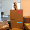 Colored Masking Tape – 7-Pack Rainbow Painters & Labeling Tape